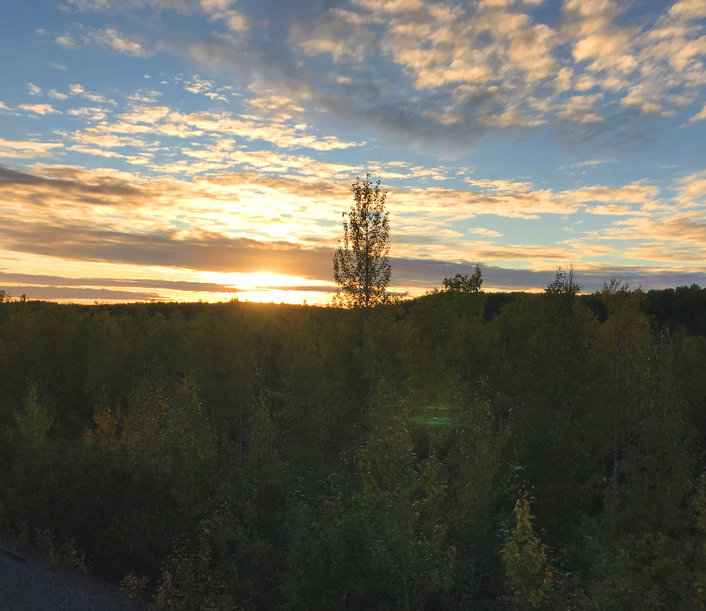 Alaskan sunset as seen from train.