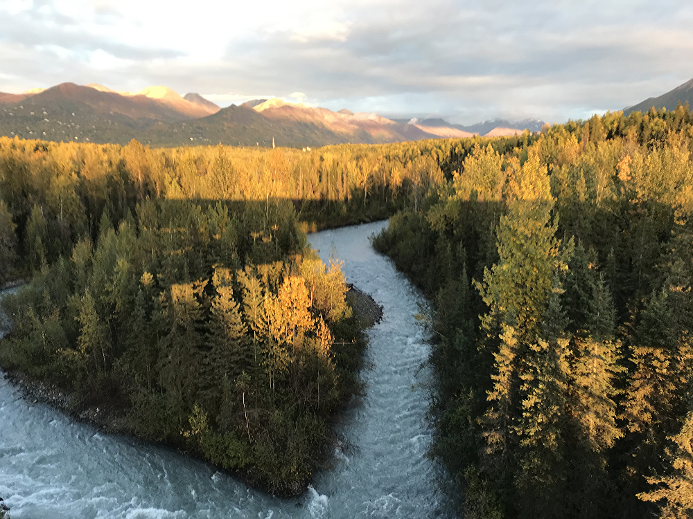 Alaskan forest and mountains at sunset.