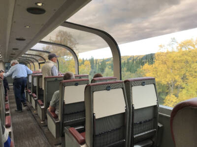 Wilderness scenery viewed from a dome car. 