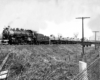 Steam Illinois Terminal locomotives with tank cars under bridge