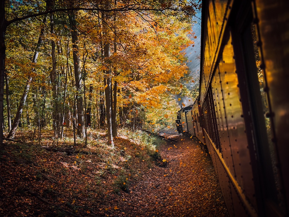 Riding a steam-powered train through fall foliage