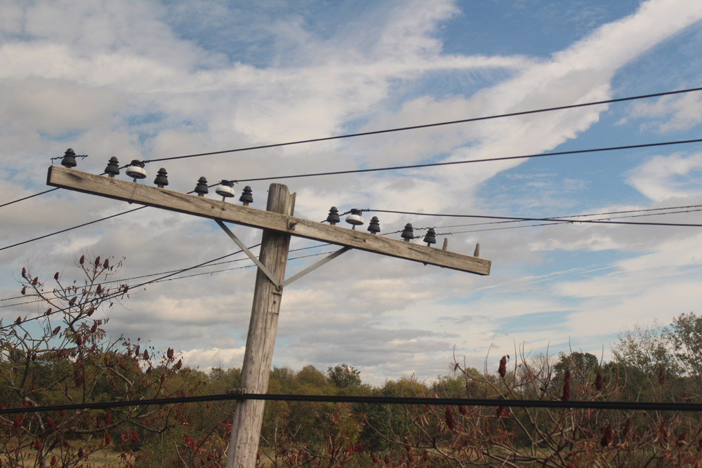 View of telegraph/telephone pole next to tracks, as seen from train