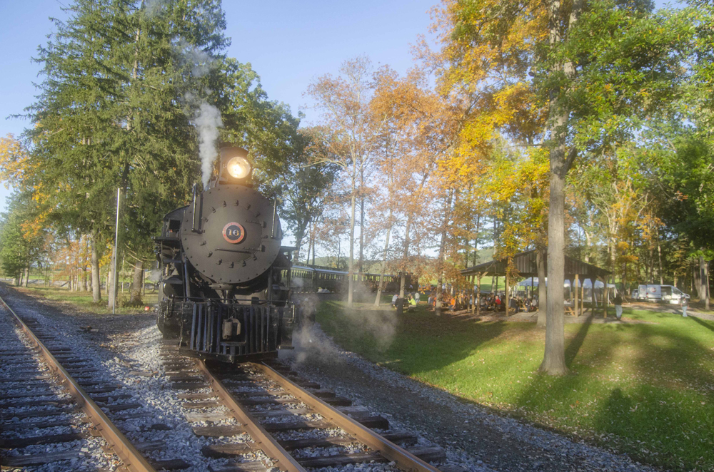 Steam engine with train on curve next to park