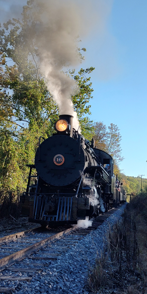 Steam engine and train in evening light