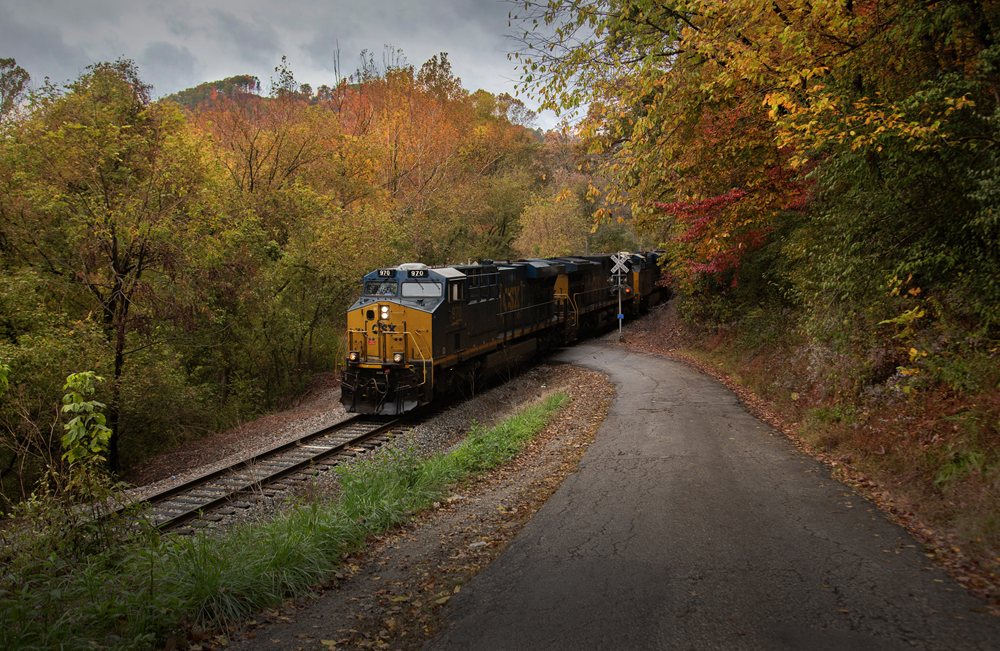 CSX train surrounded by fall foliage