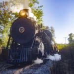 Steam locomotive on newly restored narrow gauge track