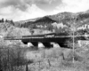 Three streamlined diesel locomotives with passenger train on bridge behind tree